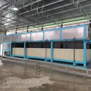 希柏莱制冷科技日产30吨直冷式块冰机-从事多年 经验丰富 产品可靠