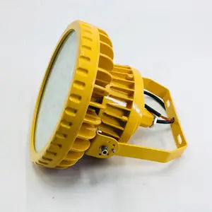 �����IICT6LED���������_100WLED��������Ƶ�_220V