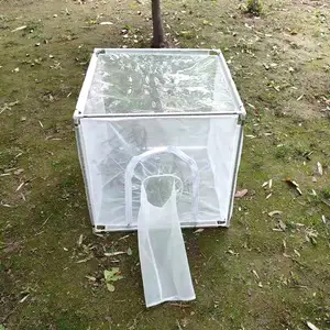 �����������֧��ɴ������Ӭ�������������������ɸ�͸����
