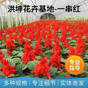 һ���� �������� �����칤�̻��� ���� ��ڻ��� �ڻ�����