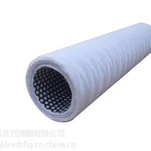 ������Ԫ316L����ֹǼ�������о