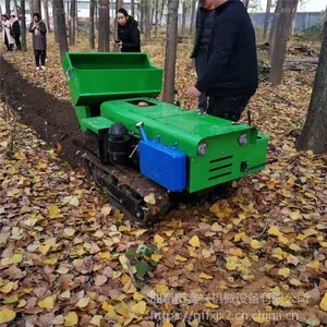�ն��ж๦�ܲ�԰����ʩ�ʻ���һ�� ˫�������Ĵ�ʽ����������