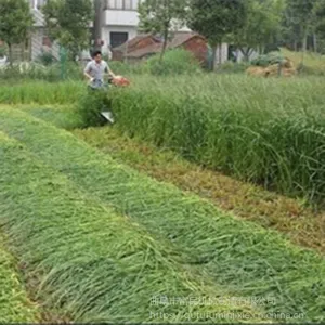 ��Ҷ���ո���ͺ�/�¿���Ӹ�ɹ��/�����ո�ƶ���