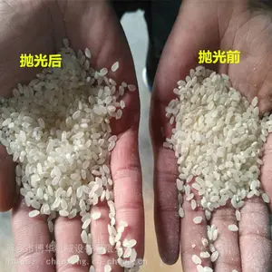 现货1吨/5吨决明子抛光机红豆抛光去霉设备大米去米糠提亮神器瓜子抛光机