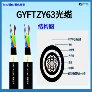 24оGYFTZY86�ǽ���������� GYFTY83-24B1���վ�޽����ܵ�����
