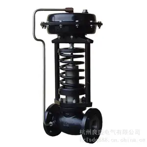 ��̩ZZYP-16B��Ĥ������ʽ���ڷ�