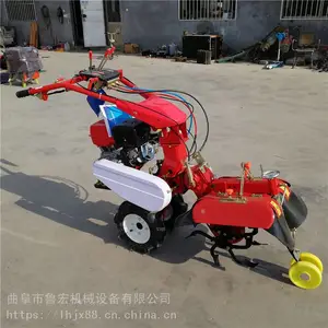 С�Ͳ�ݮ��¢������/�¿�ũ�ò�԰����������/��лƽ�������