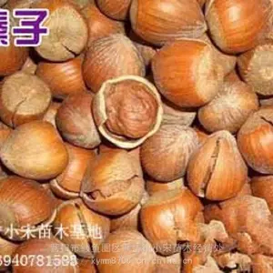 �����ض����������_����***�ӽ��������_С�β����ߴ������۸�