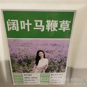 �����²ɲݻ����� ��Ҷ���޲����� ��ѿ*** �۸���� ***