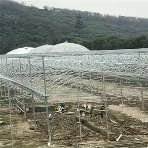 池州连体大棚长度多少米合适 连栋大棚桁架 主副拱温室大棚 大跨度果树大棚