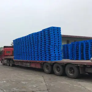 ��̩������������������ɽ����������