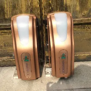 手机远程可视开门门禁系统 庭院对开八字平开自动门机 电动门