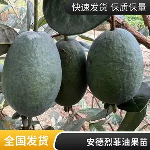 ���س��۷��͹��� ������ ͥԺ������ֲ������԰���̻��쾰������