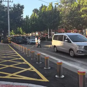 大华安快百胜启功九鼎立方科拓卓奥世鹏海康威视全自动升降柱电动遥控液压升降桩学校医院挡车柱防撞柱安装