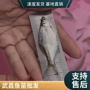 ���� �ƹ������������ 3-5�����޷�����
