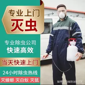 饭店灭苍蝇飞虫-工厂灭蟑螂灭鼠-园区消杀灭四害-上海专业除虫灭鼠公司