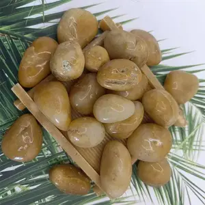 �껨ʯ������������ͥԺװ�α���⻬ ������