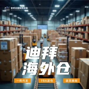 安时达中东迪拜物流车载充电器空运多少钱