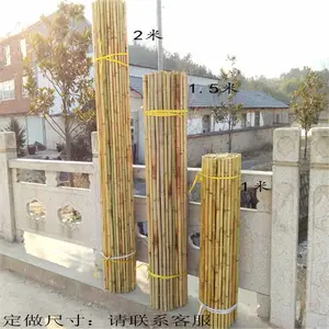 ��������դ��̼����Χ����ͬ�������ӻ�����Ƭդ������