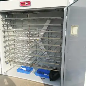 供应家庭养殖小型工业养殖大型zn-1584syj三用孵化机
