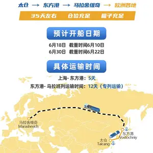 杜伊斯堡 汉堡 马拉 华沙 捷克等欧洲到门运输