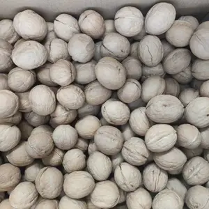 新疆33薄皮核桃,水洗不洗,25公斤/袋 出口内销可选