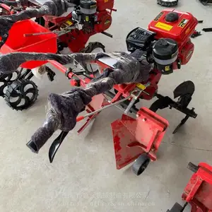 �๦�ܿ����� �����ַ�ʽ��԰������ �ƽ���ֲ������¢��