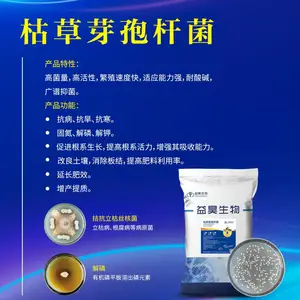 ���ϳ����ӹ��ܾ� ����ѿ�߸˾� �־�������ǿ �ٽ���������