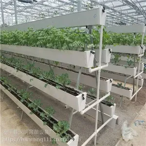草莓立体种植架种出的草莓果然不一样 又节约空间又增产