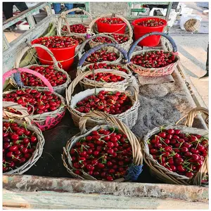 ��ũũҵ �ؾ�2���ֺ�����ӣ���� ���������ƹ�����