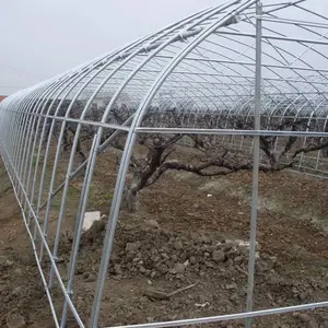 陕西安康连栋大棚骨架工程设计 连体大棚温室 蔬菜大棚 蘑菇遮阳网利得膜大棚