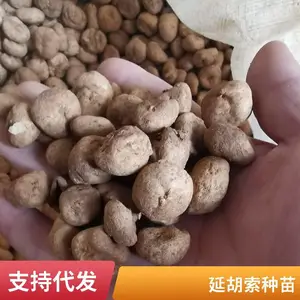 Ԫ������ ϲ��ůʪ������ �ͺ� �����׳ɻ� �巽����