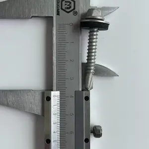 ���ڱ��304������Թ���5.5x38mm����ͺ���β�ݶ�