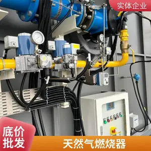 低氮天然气烧嘴源头厂家 多种应用场景天然气工业燃烧器