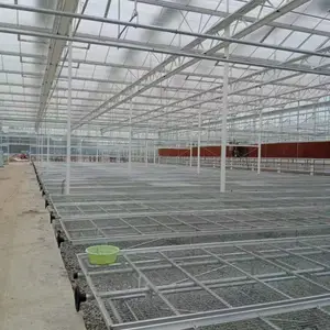 七月源头厂家靠谱报价育苗床移动苗床一平方