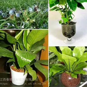 陶粒价格怎么样?哪里有实惠陶粒采购?