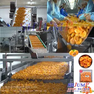 杏干杏脯加工生产线/果干果脯加工设备/桃干李干杏干处理加工设备