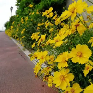 �𼦾վ���Ұ�����Ѹ���������