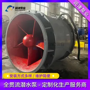 大流量潜水贯流泵选型 口径范围350~2200mm 厂家直供 润津泵业