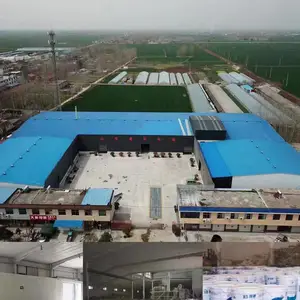 山东鼎程新型涂料有限公司