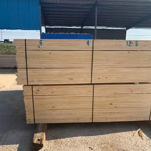 ��������ľ������ľ��