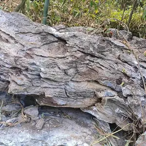 山西朔州大英石搭配绿植 朔州大英石堆叠假山 朔州大英石中式园林