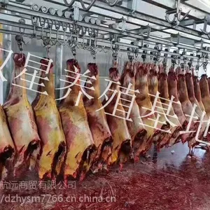 批量现货进口蒙古马肉天然草原放养活马屠宰新鲜冻马肉