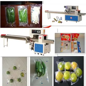 �Ϻ��յ�QD250����˾ɳ��������Ʒ��ʽ��װ��