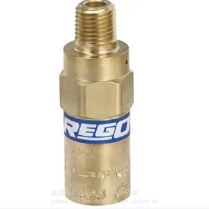 美国REGO力高安全阀PRV9432T