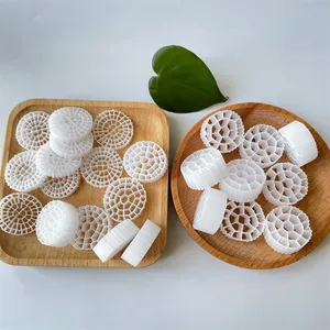 ���ɹ������첼ˮ����˹�Ĥ������ܶȾ���ϩ������������