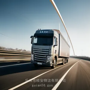 ���е��ٺ��л���ר��2024�㵣���췢��
