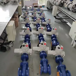 ����DN50-DN800����ѹ�����������綯բ��