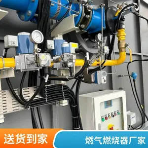 岱鼎燃烧球团加热炉水槽加热高炉煤气氢气燃气烧嘴天然气烧嘴厂家