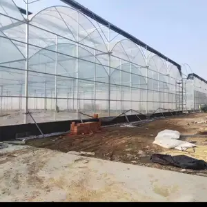无锡大棚管 建设连体大棚地形要求 连栋大棚外遮阳内遮阴每亩价格连体大棚 玻璃温室大棚 养殖大棚农业种植大棚管